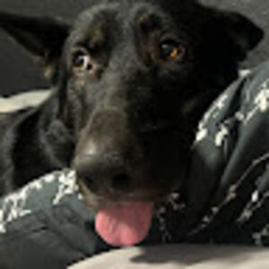 Meet your Posher, Aʟʏssᴀ